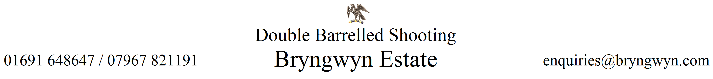 bryngwyn logo